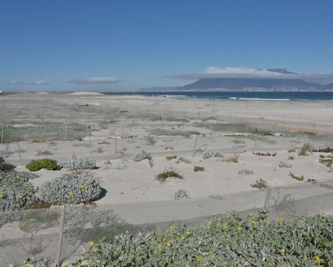 dune rehabilitation cape town