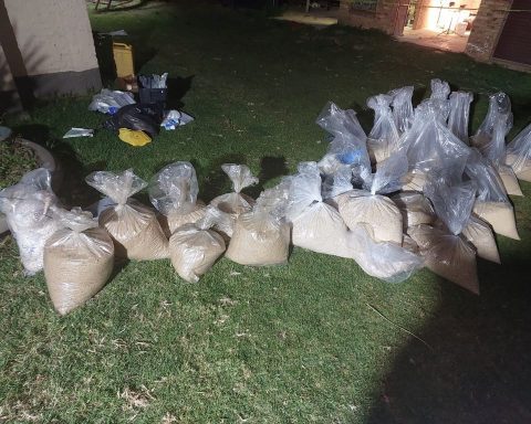 south africa drug trafficking