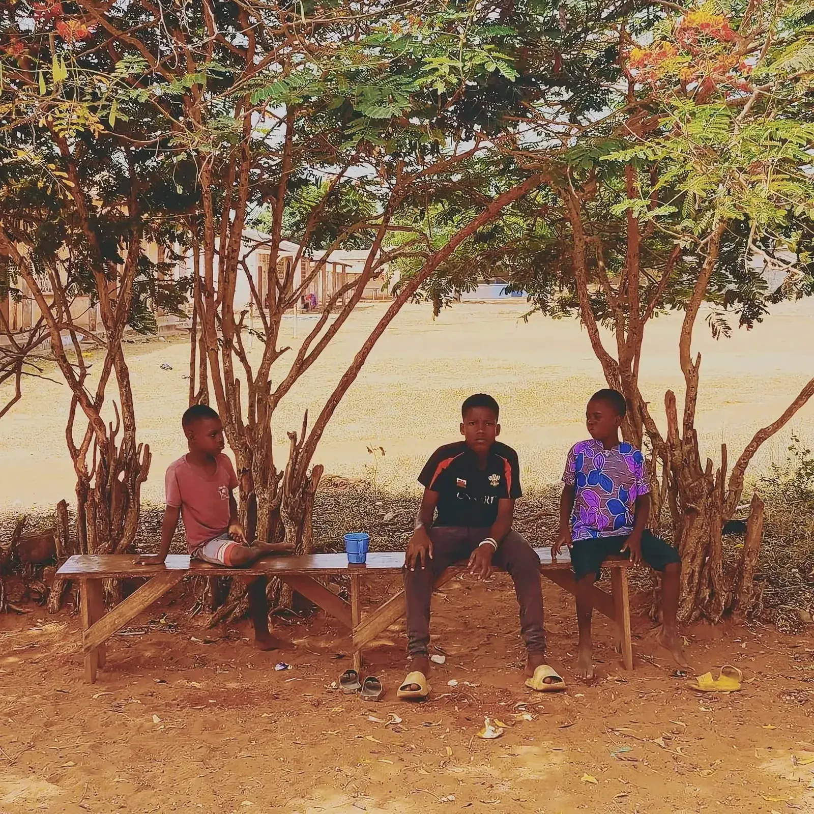 Group of young boys seated on a bench under a tree in Togoville, Togo.