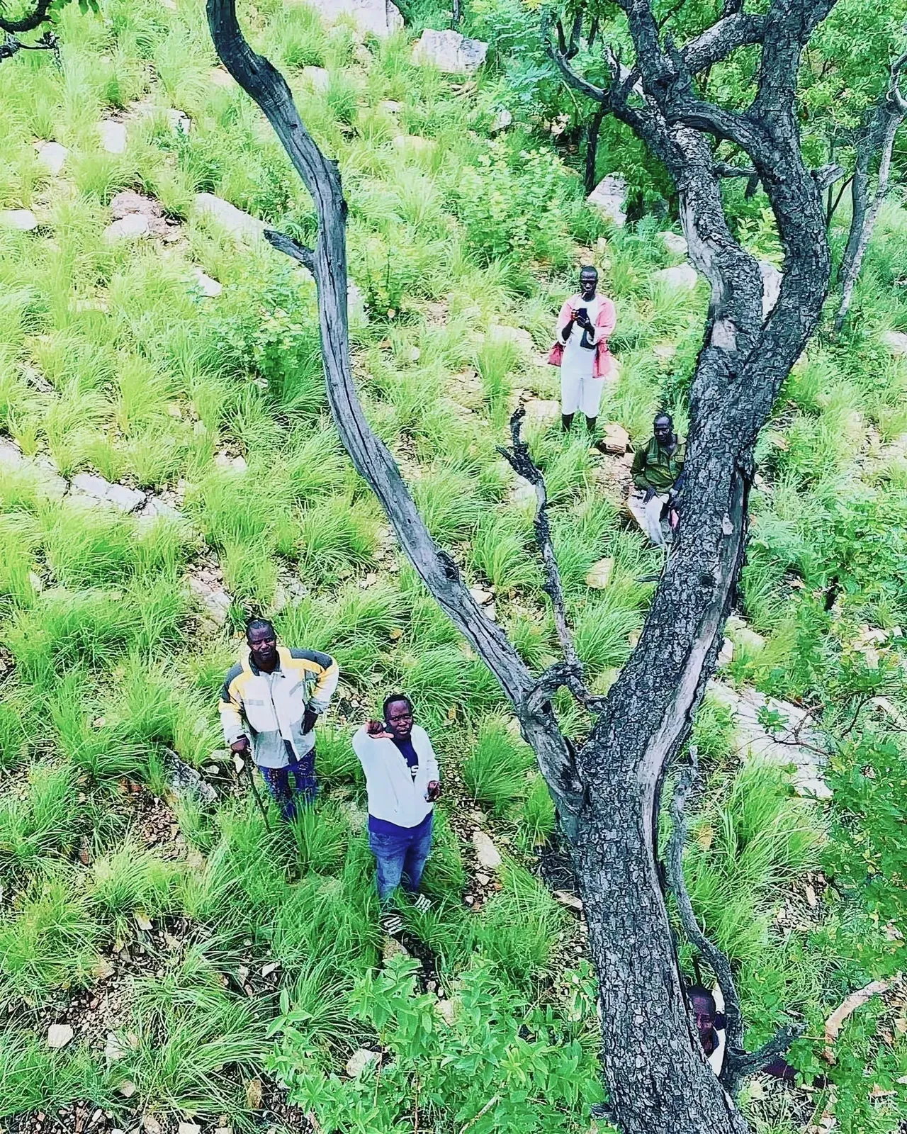 A group of people hiking in a grassy area during the summer season