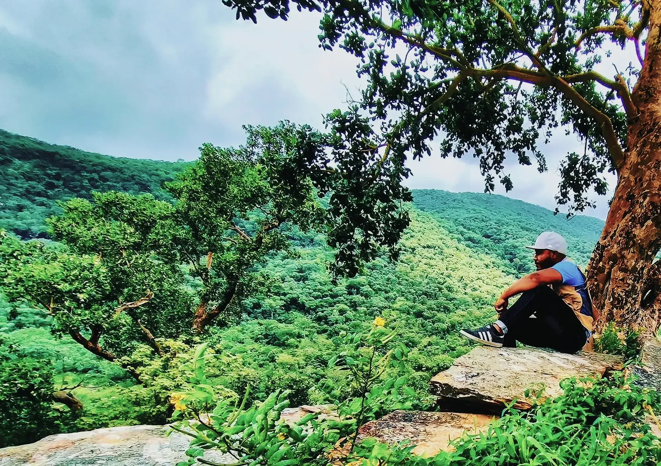 Man in hiking gear sitting on a rock in a lush forest.