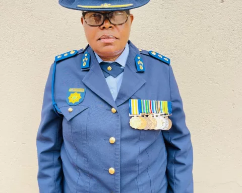 south african police service law enforcement