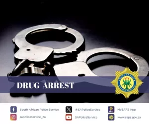 drug bust south african police service