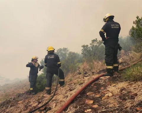 #capetownfirefighters #fireincidents #firesafetyawareness