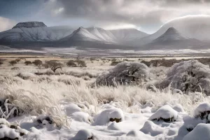 south africa snowfall