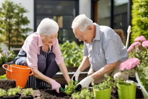senior living retirement design trends