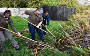 women empowerment environmental conservation