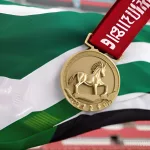 south africa paralympics