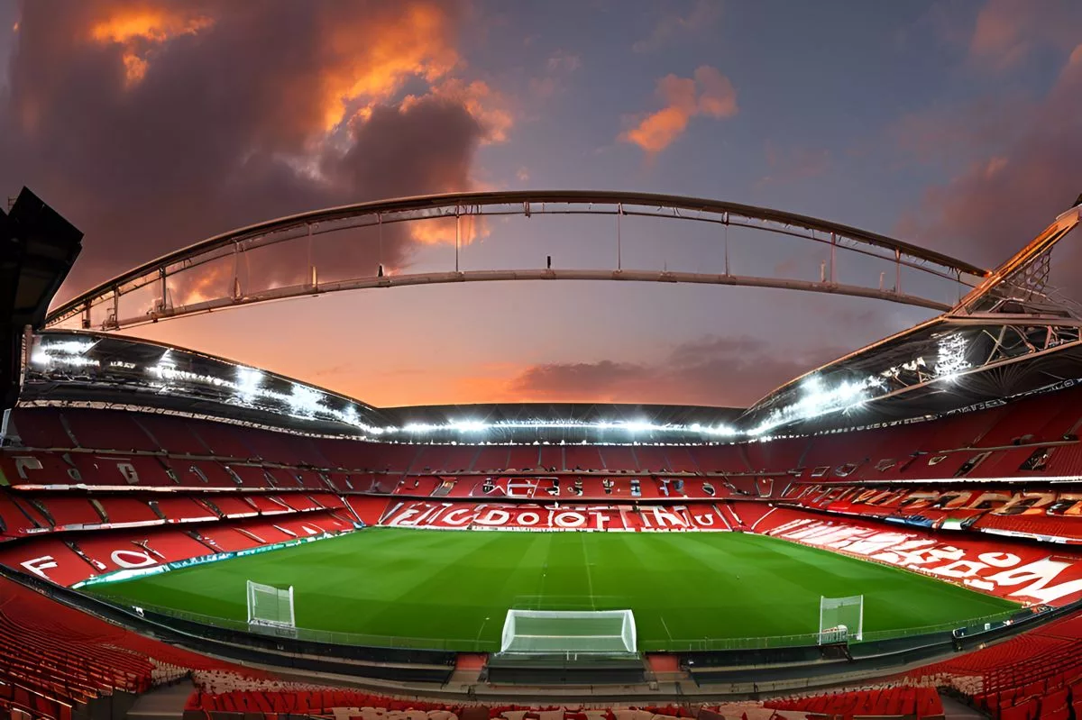 springbok rugby principality stadium